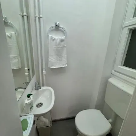 Airy & Beautiful Downtown Apartamento Bucarest