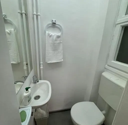 Airy & Beautiful Downtown Apartament Bucureşti